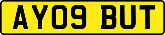 AY09BUT