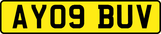 AY09BUV