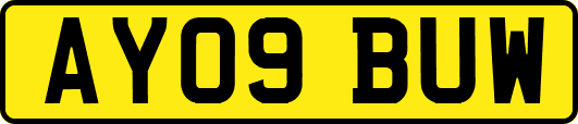 AY09BUW