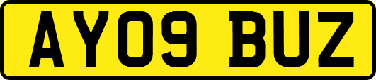 AY09BUZ