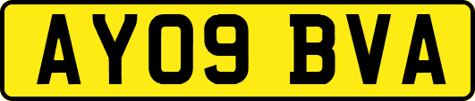 AY09BVA
