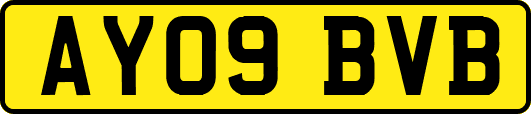AY09BVB