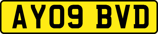 AY09BVD