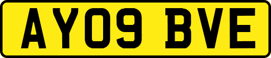 AY09BVE