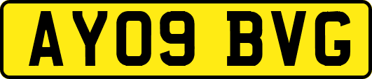 AY09BVG