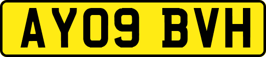 AY09BVH