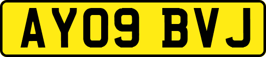 AY09BVJ