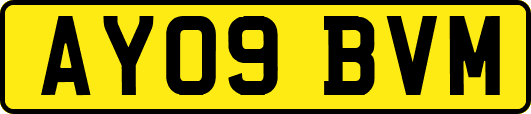 AY09BVM
