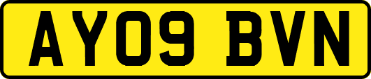AY09BVN