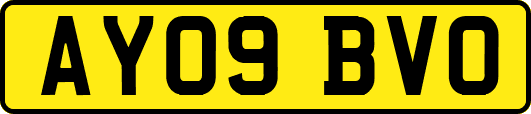 AY09BVO
