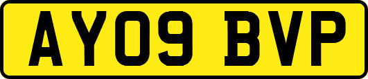 AY09BVP
