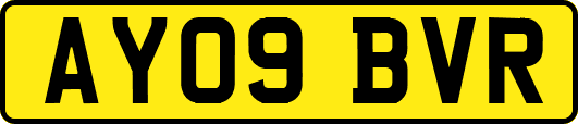 AY09BVR