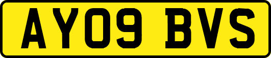 AY09BVS
