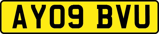 AY09BVU