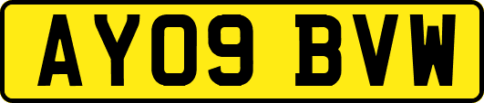 AY09BVW