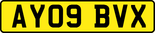 AY09BVX