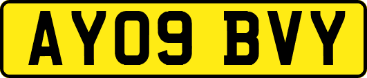 AY09BVY