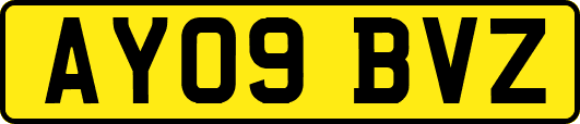 AY09BVZ