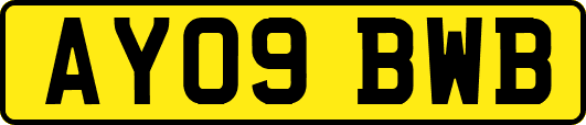 AY09BWB