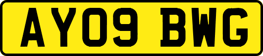 AY09BWG