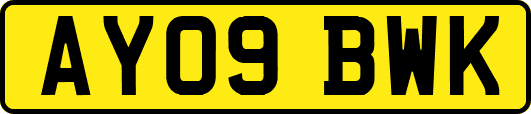 AY09BWK