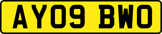 AY09BWO
