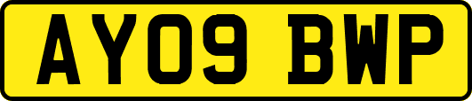 AY09BWP