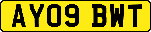 AY09BWT