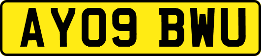 AY09BWU