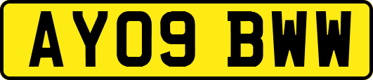 AY09BWW