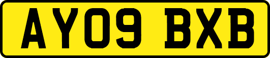 AY09BXB