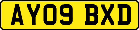 AY09BXD