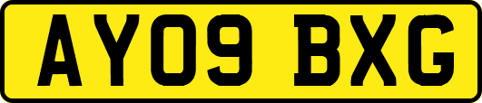 AY09BXG