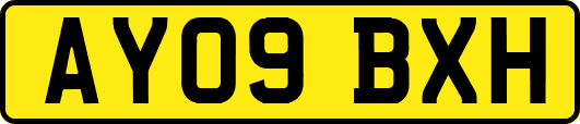 AY09BXH