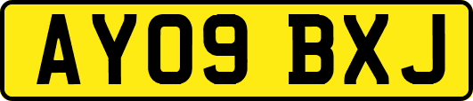AY09BXJ