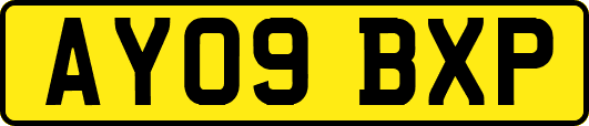 AY09BXP