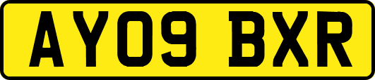 AY09BXR