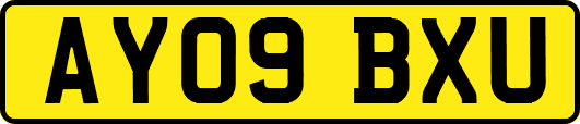 AY09BXU