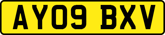 AY09BXV