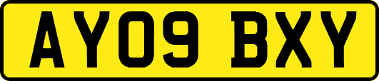 AY09BXY