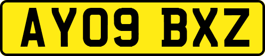 AY09BXZ