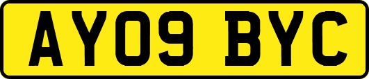 AY09BYC