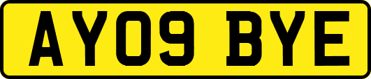 AY09BYE