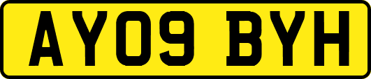 AY09BYH