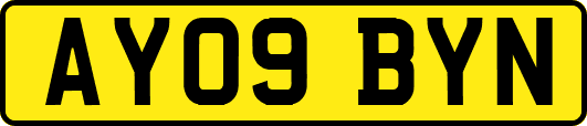 AY09BYN