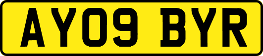 AY09BYR