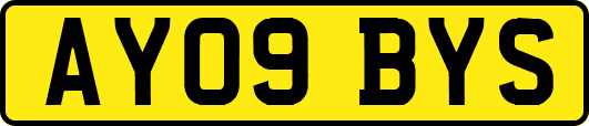 AY09BYS