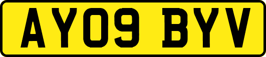 AY09BYV