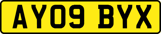 AY09BYX