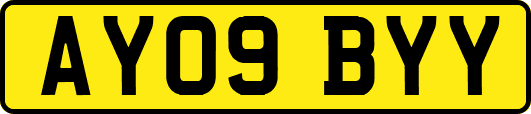 AY09BYY